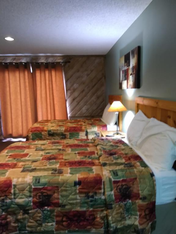 Lodge At Turkey Cove Canyon Lake Exteriör bild